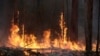 Kebakaran hutan di dekat Bodalla, Australia, Minggu, 12 Januari 2020. (Foto: dok)