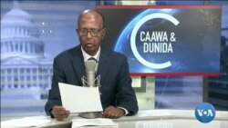 Caawa iyo Dunida