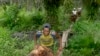 Alih Fungsi Hutan Papua untuk Sawit Ancam Sumber Pangan Masyarakat Adat 