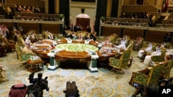 نشست اعضای شورای همکاری خلیج فارس - عکس آرشیو