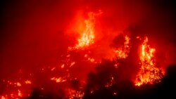 Flames from the KNP Complex Fire burn a hillside above the Kaweah River in Sequoia National Park, Calif., on Sept. 14, 2021.