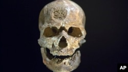 Tengkorak Cro-Magnon berusia 28.000 tahun yang ditemukan di Dordogne, Perancis, ditampilkan di Musee de l'Homme di Paris (14/10). 