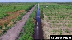 Kanal air membelah lahan gambut di Kalimantan Tengah. (Foto: Nordin/Save Our Borneo). Pemerintah memprioritaskan pembangunan food estate (lumbung pangan) di Kabupaten Kapuas dan Kabupaten Pulang Pisang di Kalimantan Tengah, serta Kabupaten Humbang Hasundutan di Sumatera Utara.