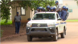 Udaba Esilethulelwe NguAlbert Ncube