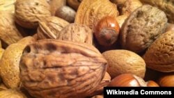 مغزیات چون چارمغز و بادام سرشار از فایبر، مگنیزیم و چربی های اشباع نشده می باشند
