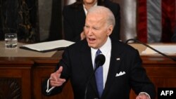 VaJoe Biden