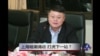上海暗潮涌动，打虎下一站？