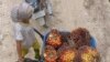 Peneliti: Kelapa Sawit Lestarikan Kemiskinan Petani
