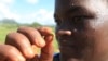 Fall Armyworm Spreads to Cameroon