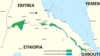 2 Eritrean Pilots Defect to Ethiopia With Jets, Group Says