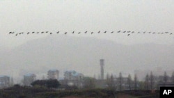 Birds fly in a line in North Korea in the demilitarized zone (DMZ) near the border village of Panmunjom that separates the two Koreas since the Korean War, in Paju, north of Seoul, South Korea, Wednesday, April 25, 2012. (AP Photo/Lee Jin-man)