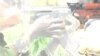 US Military Plans Operations in Africa