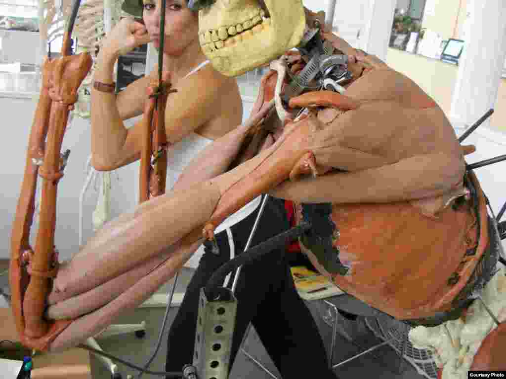 John Gurche membuat lengan Homo erectus dan model-model otot dengan mencontoh manusia yang sebenarnya. (John Gurche, “Shaping Humanity”)
