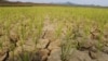 Reports: North Korea Warns of New 'Arduous March'