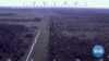 Asylum-Seekers in US Head for Tiny Canadian Border Town
