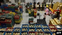 Peti-peti nanas di Pingtung county, Taiwan, setelah China menerapkan pelarangan impor nanas, 16 Maret 2021. China mengancam akan menerapkah tambahan hambatan dagang karena berang dengan pidato Presiden Taiwan pada 10 Oktober 2024. (Foto Sam Yeh/AFP) 