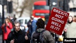 Demonstrant protiv Bregzita šeta ispred parlamenta u Londonu, 14. marta 2019. 