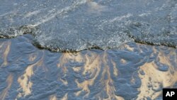 Ribuan gallon minyak tanah tumpah ke laut dan pantai-pantai di California Tengah. akibat bocornya pipa minyak di sana 19 Mei lalu (foto: dok).