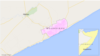 Somali Families Demand UN, Somali Gov’t Inquiry Into Killings During Bush Clearance