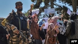 عکس: آرشیف