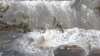 Japan Quake Weighs on Financial Markets