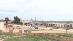 سایره شکیب 