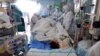 WHO: China Laporkan Jenis Baru Flu Burung