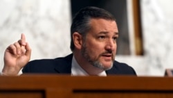 共和黨聯邦參議員克魯茲（Sen. Ted Cruz, R-TX）