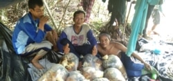 Budi bersama rekan panen madu sialang di Pulau Rupat, dekat perbatasan Singapura (foto: courtesy).