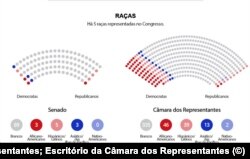 Gráfico - O Rosto do Congresso Americano - Representação Racial