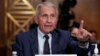 Pakar penyakit menular AS, Dr. Anthony Fauci