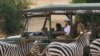 Ibu Negara AS, Melania Trump mengamati zebra saat bersafari di Taman Nasional Nairobi di Nairobi, Kenya, 5 Oktober 2018.