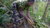 Kwabo Batembo and her four sisters, unseen, clean Casava, a staple food, on the outskirts of the small village of Walikale, Congo, Sept. 18, 2010.