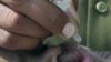 India Reaches Polio Milestone