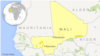 17 Malian Soldiers Killed as Conflict in Country's Center Deepens 