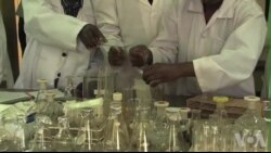 肯尼亚寻求无HIV感染风险的避孕措施