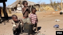 Vana vasina magwaro ekuberekwa vari kupiwa. (Columbus Mavhunga for VOA)