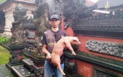 I Made Robiana, peternak babi di Gianyar, Bali. (Foto courtesy: Robi)
