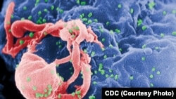 Virus HIV.