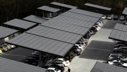 Paneles solares
