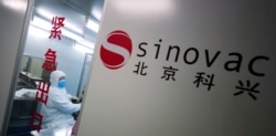 Seorang pekerja tengah bekerja di laboratorium perusahaan bioteknologi China, Sinovac, di Beijing, China, 24 Agustus 2009. (Foto: dok).