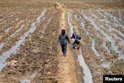 FILE - People work in a field just outside Pyongyang, North Korea, May 4, 2016.