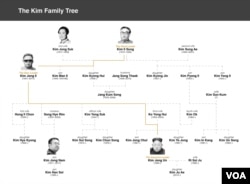 Kim Jong Nam family tree
