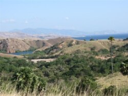 Pulau Rinca di provinsi Nusa Tenggara Timur (foto: Wikipedia).