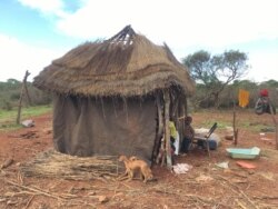 Indlu ebhidlizwe lizulu elikhulu koMatekenya eGwanda esabelweni seMatabeleland South (Photo: Albert Ncube)
