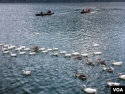 Tourists go boating in Naini Lake. (VOA/A. Pasricha)