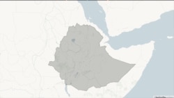 በደጋ ዳሞት ወረዳ ከ30 በላይ ሲቪሎች በታጣቂዎች መገደላቸውን የአማራ ክልል መንግሥትና ነዋሪዎች ተናገሩ 