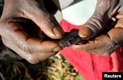 Seorang ahli pengobatan tradisional menunjukkan silet yang digunakan untuk melakukan sunat perempuan pada anak-anak perempuan suku Sebei di distrik Bukwa, 357 km arah timur laut Kampala, Uganda, 15 Desember 2008.