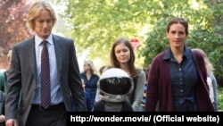 Wonder