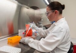 Dr Rhonda Flores memperhatikan sampel protein di Laboratorium Novavax di Rockville, Maryland, 20 Maret 2020.(Foto: AFP)